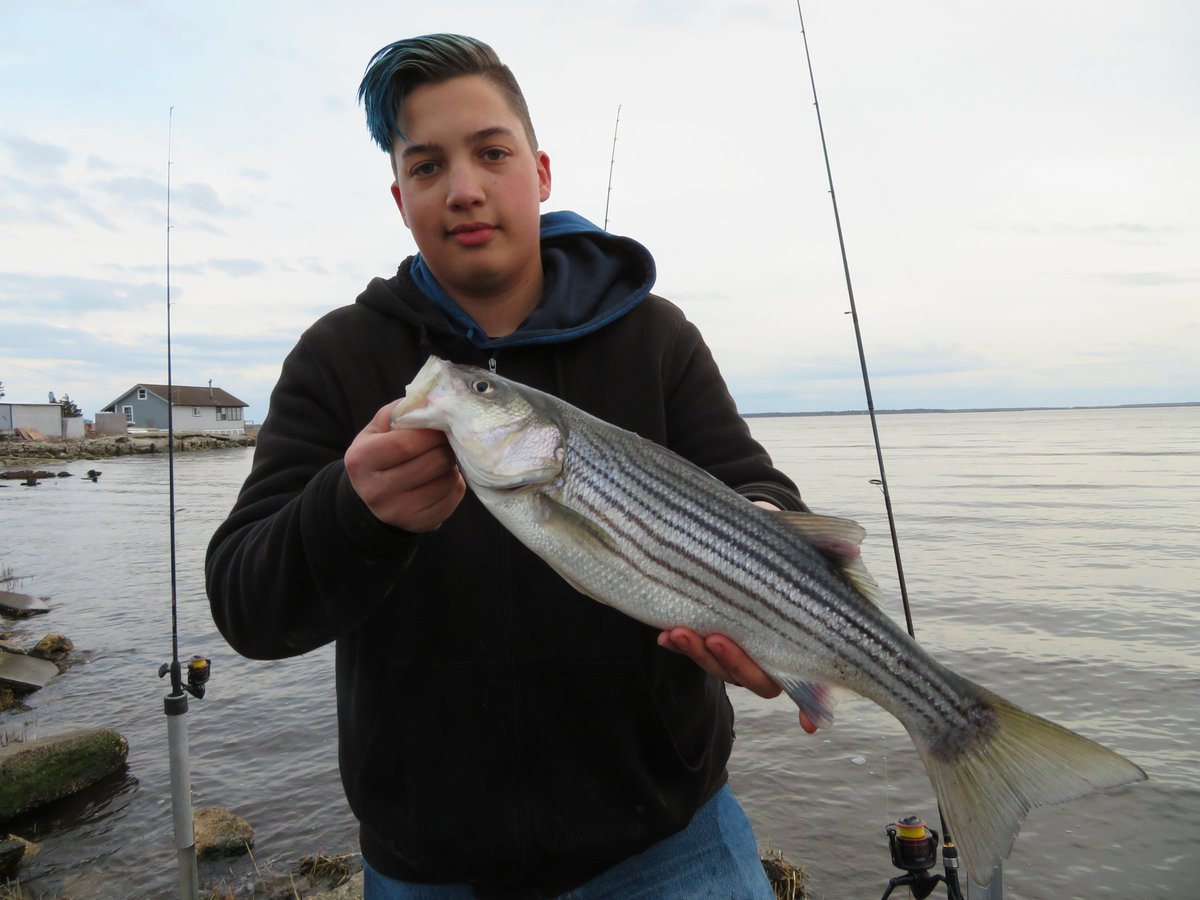 ReelMaxLife's tweet photo. Did some back bay fishing earlier today, there are some decent fish here and there https://t.co/tpLcqse9He
