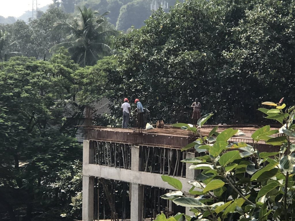 driftingdunes's tweet photo. @MahindraRise @clubmahindra I thank the trees and plants 🌳🌲🌴for ‘Standing Strong’ against the ‘Modern Jungles’ to protect and nurture me. #survivalist #Thegreatestwarrior
#Thankthetree #RiseAgainstClimateChange https://t.co/tKvXyhYYvk