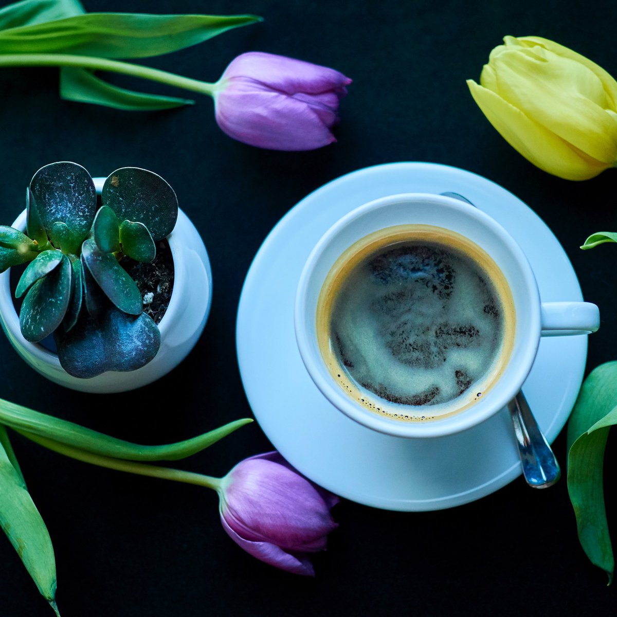daftcafe's tweet photo. ☕️➡️🌻 #wiosna https://t.co/tmCkgh8dOM