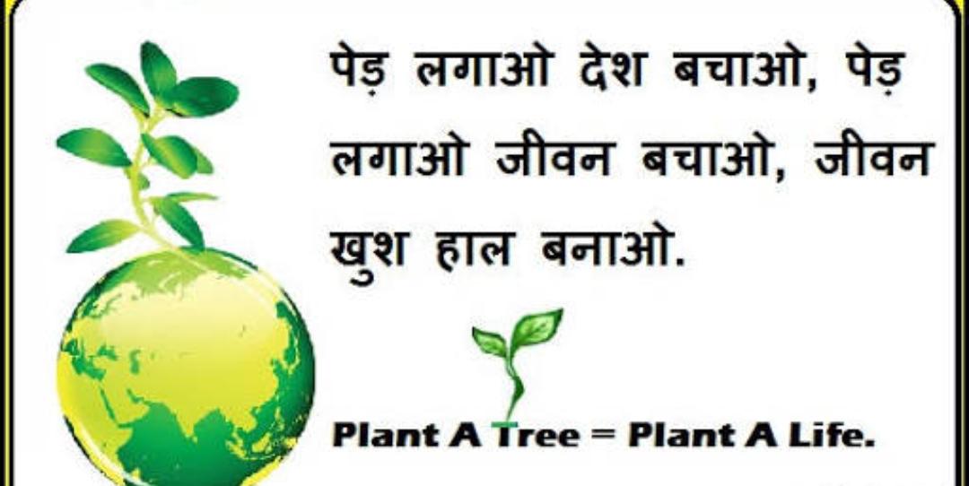 PeaceTrees1's tweet photo. #Savetrees #Peacetrees #Holi2019 #Happyholi2019 #heartfulness https://t.co/OqSr0rsmUf