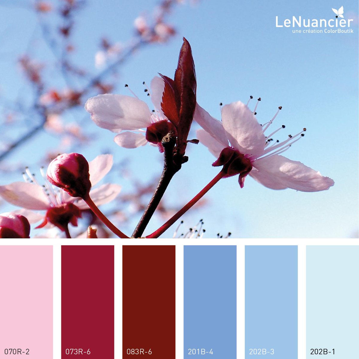 colorboutik's tweet photo. The new "Spring" inspired palette by Colorboutik!
You can find these beautiful shades in our fandeck "LeNuancier" 1241 decorative shades.

Colorboutik Inspiration "Printemps"!
Vous pouvez retrouver ces couleurs dans "LeNuancier", 1241 teintes à usage décoratif.

#color #spring https://t.co/Ra3b8sDmqZ