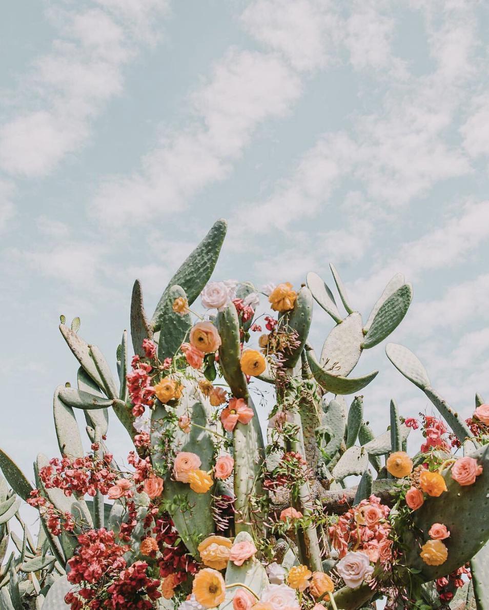 Sézane for UN Women @unwomen 🌈
Appel du 21 x ONU Femmes France @onufemmesfr -
-
#sezane #sezaneengagee #duconcret <a href="/ariellevey/">arielle vey</a>