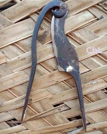 pandi on Twitter: "@nagercoil_town பாக்கு வெட்டி" / Twitter