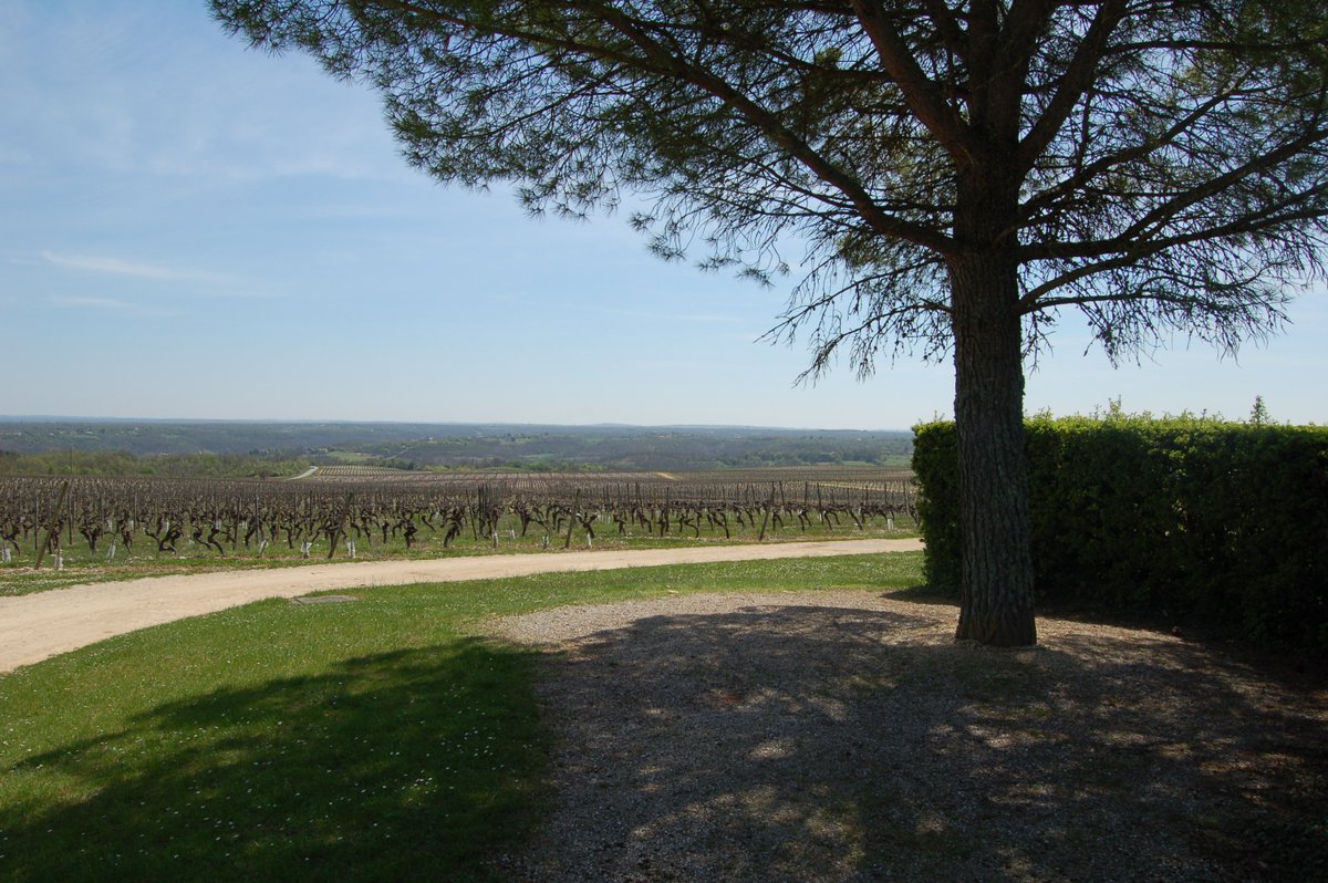 ChateauHS's tweet photo. [réouverture]Le printemps est arrivé au Château de Haute-Serre ! #Cahors Une magnifique source d'inspiration pour le #Chef #gastronomie #TourismeLotDordogne

On se donne rendez-vous demain vendredi 22 avril 2019 pour la réouverture ! https://t.co/STzmmNgr57