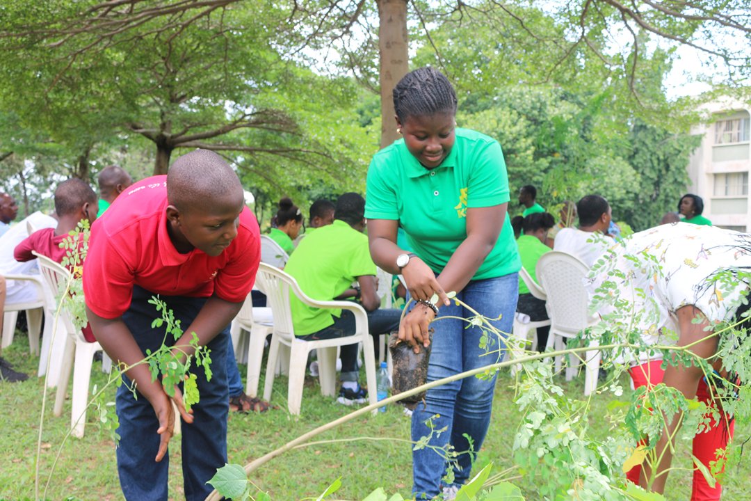 adebotes's tweet photo. In 2017, with the help of Lt. Dr. @ehiebewele, we got 100 tree seedlings and handed them over to participants (mostly children) during @Wildlife_A_CREW's World Nature Conservation Day.

On this #IntlForestDay, I reflect on how #Children are important in preserving our #Forests. https://t.co/tiT9WTOdj7