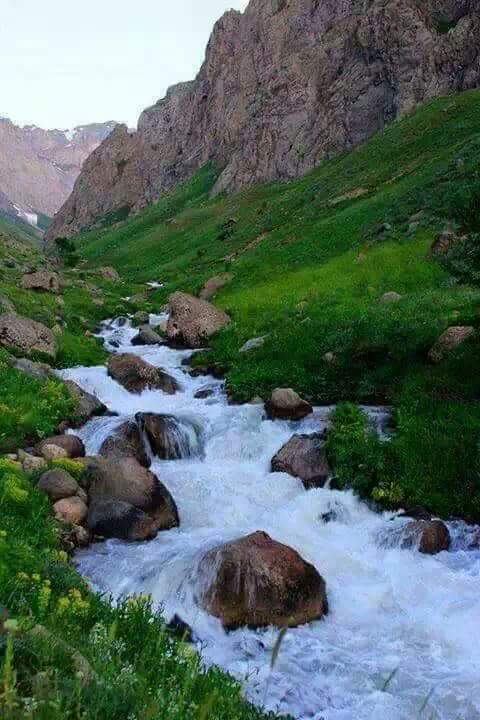 Andishmand0's tweet photo. سال نو(1398 ه-ش) برهمگان خجسته باد! https://t.co/8H293ODJH8