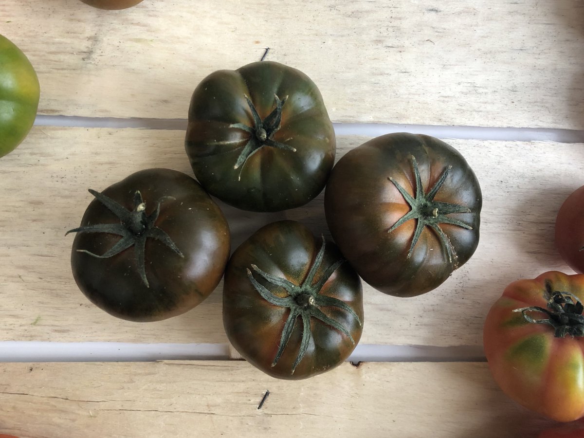 SolsticeFood's tweet photo. Italian Heritage Tomatoes!
#Tomatoes #heritagetomatoes #italianproduce #salad #fruit #merinda #greenmerinda #camone #cherryvine #datterini #cowheart #chefs #londonchefs #greengrocer @01greengrocer @jason_boakes @philipbritten @TonyGreengrocer https://t.co/AhSD6FJh5Y