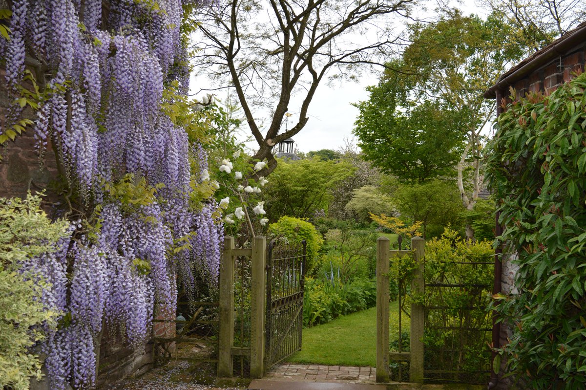 Make this the year you #startgardening Our season ticket costs just £21 which gives one person free access to @Stocktonbury on all our open days. Pop in after April 3rd and treat yourself. #gardening #Herefordshire Includes entry to our annual #plantfair on May 26th