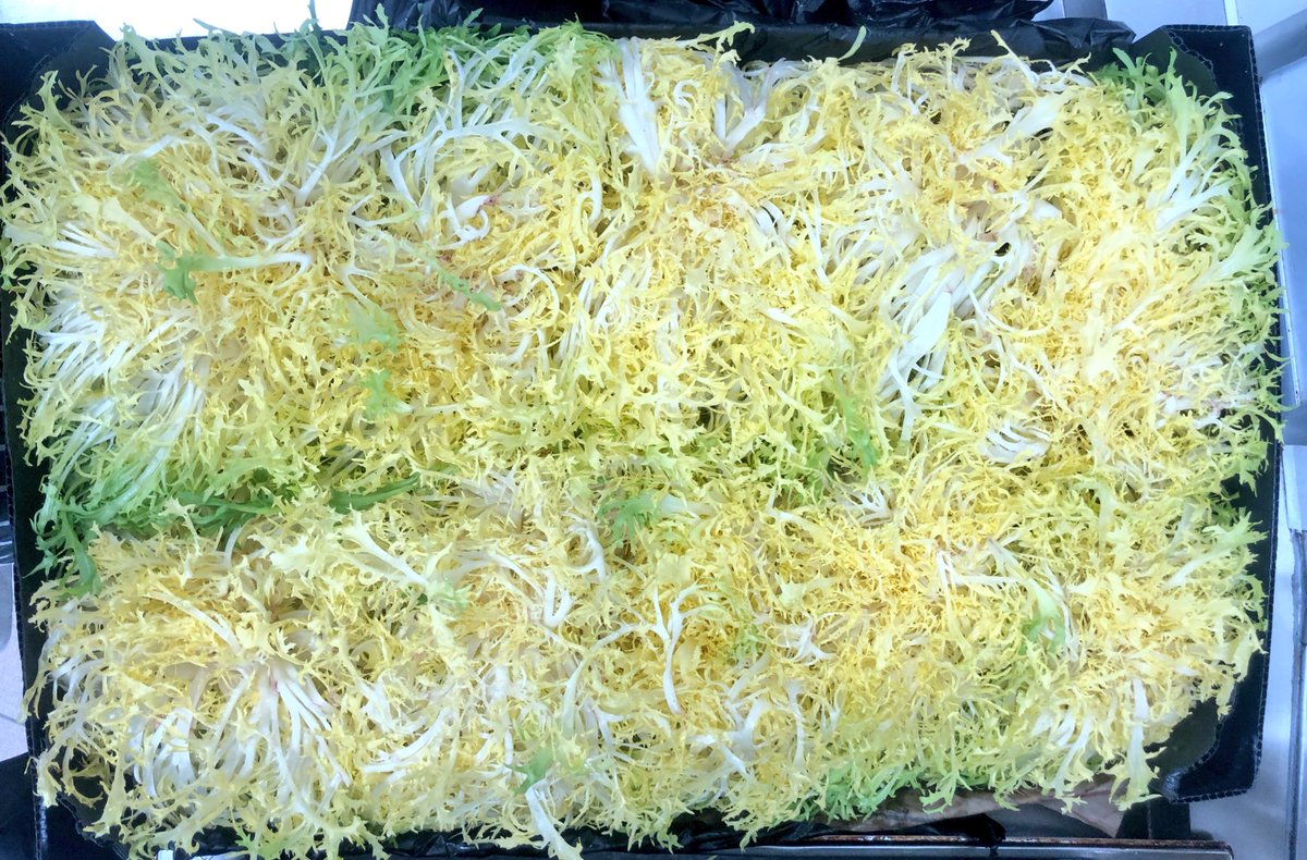 Pure yellow AAA grade frisee from <a href="/PrimeurCo/">Primeur.co</a> today ✊️⭐️🌼🌼🌼