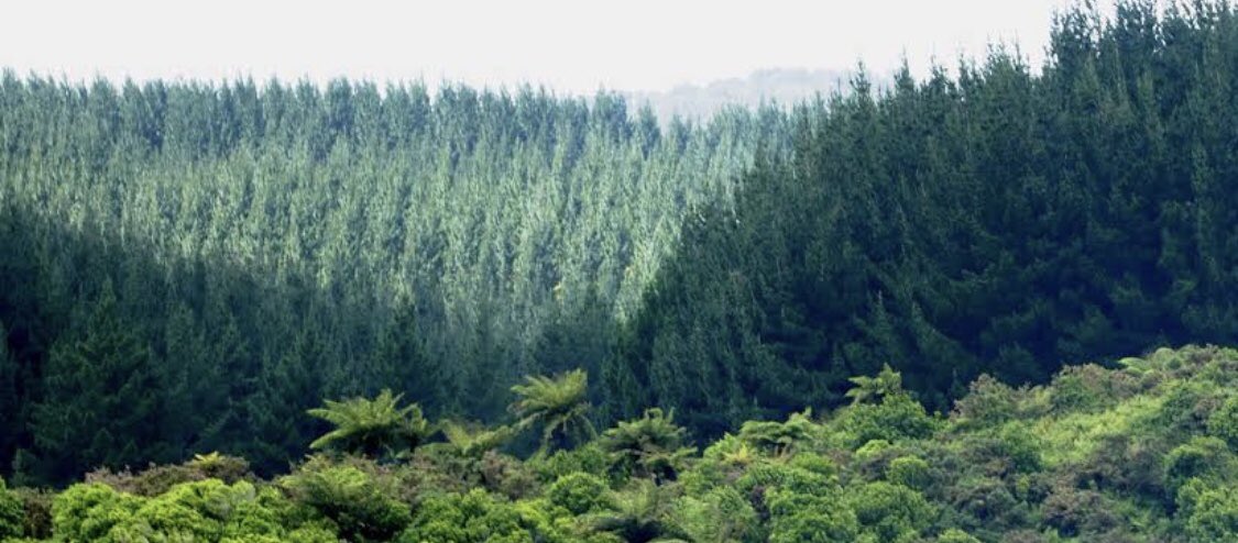 greencomm_ke's tweet photo. As we celebrate #IntlForestDay join us @greencomm_ke as we continue with our campaign of #plant5milliontress in the northeastern part of Kenya. Our forests are our future. @Environment_Ke @UNEnvironment @NemaKenya @KeForestService @MohamedaminKE @amb_ibrahim https://t.co/DjQUdfZ3n6