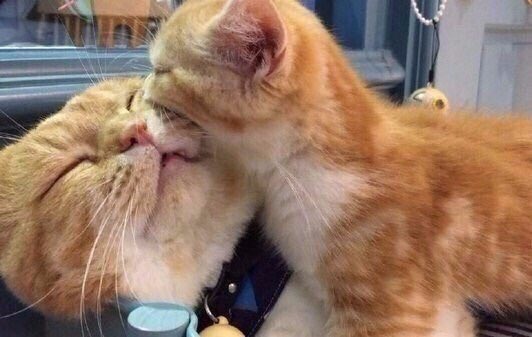 ◦♡̼❪ไพลิน❫🎼☁️◦ tweet media
