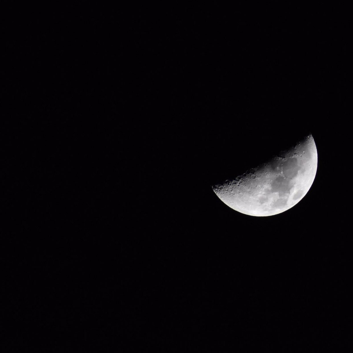 msgearhead's tweet photo. Lately I’ve been obsessed with taking photos of the moon. Next goal is the milky way 😍 #moon #nikon #d5600 #photooftheday #photography #astrology #dslr #socal #california #naturalbeauty https://t.co/WqWqhmBKVW