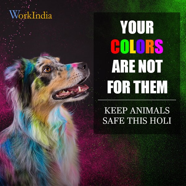 workindiajobs's tweet photo. Spread the colors of love and happiness!!
This holi pledge to keep the animals safe. #BeHuman
WorkIndia wishes a very Happy Holi to you and your loved ones.
Download the WorkIndia app- https://t.co/4Hskerfe6S
#WorkIndiaJobs #FreeJobSearchApp #PlayStore #HappyHoli2019 https://t.co/Z3thbJ6Avr