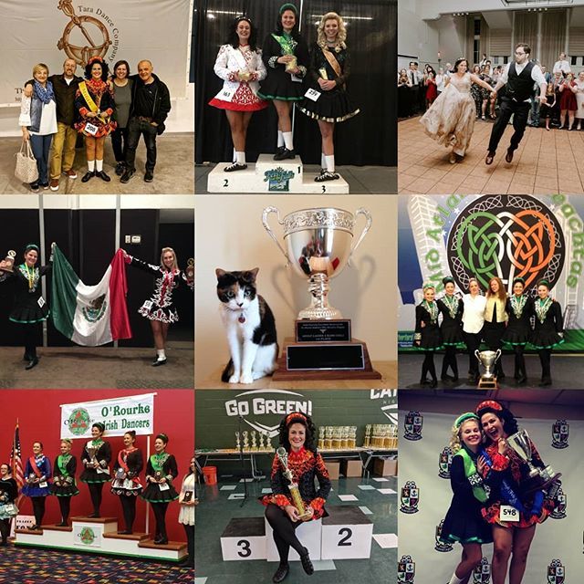 RincePop! tweet media