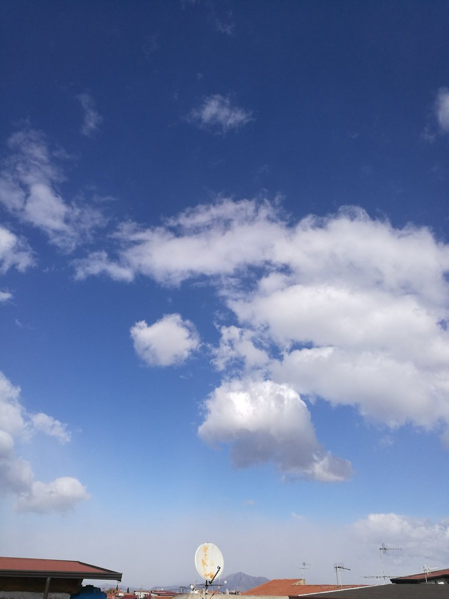 Paolo A Twitter La Morte Di Un Amico Come La Caduta Di Un Pino Gigante Lascia Vuoto Un Pezzo Di Cielo Cit Unpezzodi
