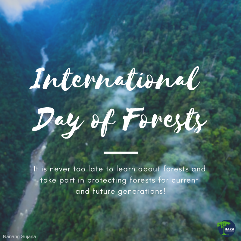 haka_sumatra's tweet photo. Happy #InternationalDayofForests! The protection of forests crucial for current and future generations because of the ecosystem services. It's never too late to learn about forests and do your part to protect the forest for the current and future generations. #SaveLeuserEcosystem https://t.co/YcRrXKqdKI