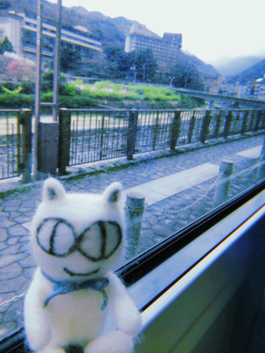 EASYCAT7's tweet photo. 今日はバスに乗ってお出かけだよ🚌
さて、どこかな〜⁉️
#ネコ #ネコスタグラム #ねこ #ねこ好き #猫 #猫好きさんと繋がりたい #猫部 #cat #catstagram #easycat #イージーキャット #サンデーマート #鎌倉 #江の島 #kamakura #enoshima #イージーキャットの大冒険 https://t.co/Talv7qsOIJ