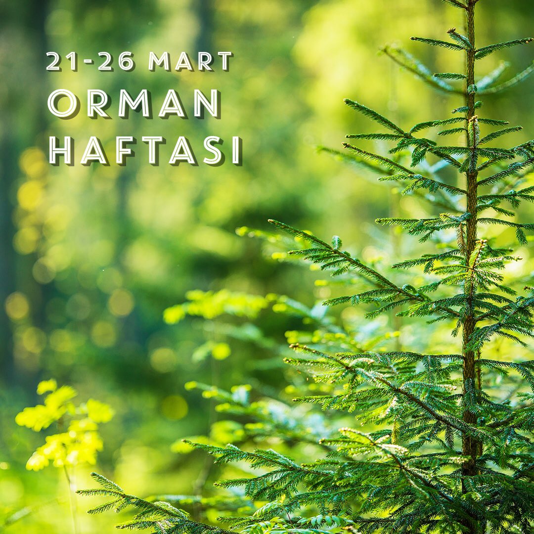 EmlakYonetim's tweet photo. 21 - 26 Mart Orman Haftası. Ormanlar geleceğe bırakılacak en önemli mirastır. Yarınlarımıza güvenle bakmamızı sağlayan, bir ülkenin nabzını tutan zenginlik kaynağıdır. https://t.co/IbxY5onknK