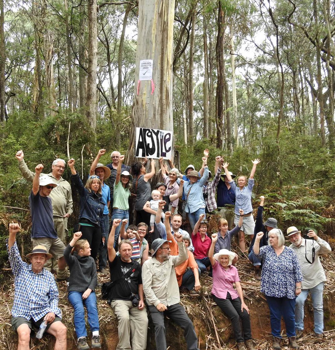 ourstrathforest's tweet photo. On this #IntlForestDay, #vicgov must stop delaying!
Our wonderful #forests need protection before #logging does more damage.
Did you know that every year Melbourne emits 4 million tonnes of #CO2, while #strathbogieforests store 3 million tonnes?
#carbon #water #wildlife #climate https://t.co/uvMt8KzELj