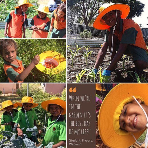 #CloseTheGapDay You could support charities doing awesome stuff to #closethegap @eonfoundation build edible #gardens in remote schools and communities for a secure supply of #freshfood eon.org.au
#NCTGD #feast #plants #aboriginalhealth #firstnation #homegrown