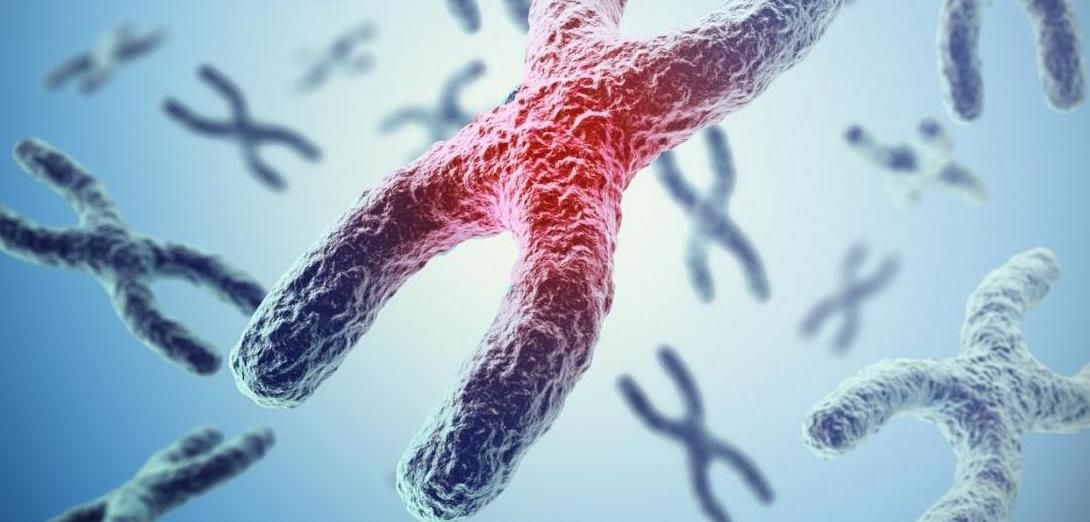 GOCOHospitality's tweet photo. What are telomeres? And why are they super important for healthy ageing? https://t.co/mI5xwTvyqp #Ageing #Aging #Telemere #Genetics #HealthyLifestyle #Longevity #fountainoflife https://t.co/J65repnFyZ
