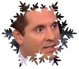 Normsmusic's tweet photo. @DevinNunes Yes the phone No. is 1800 #CowFlake https://t.co/TXJn6Fhgwl