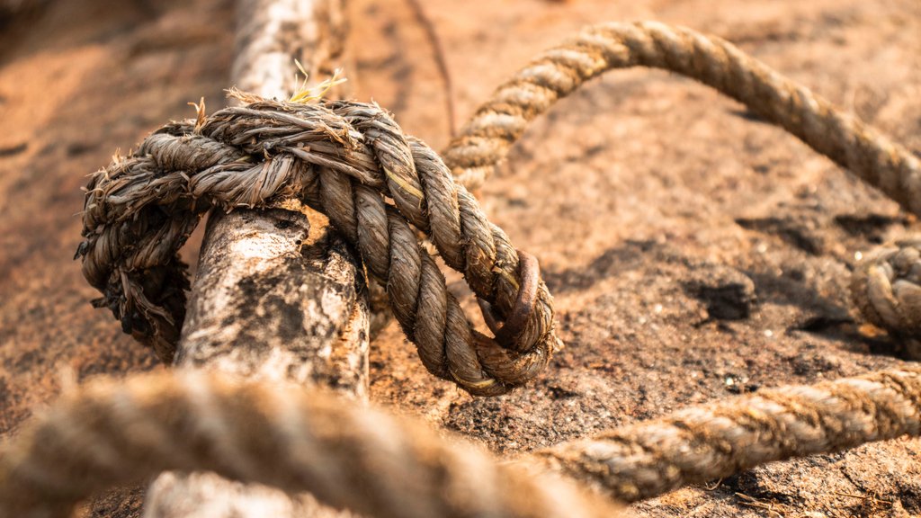 Innovtools1's tweet photo. Nous possédons une grande variété de corde pour de nombreux usages. Contactez nous : 06 75 40 7928
-
-
-
#corde #cordes #artisans #artisanat #artisanal #macro #sable #surlaplage #plage #rope #ropes #cheaprope #attrapereve #tresse #blogdecor #diydecor #tresser https://t.co/2EVVXJsY0E