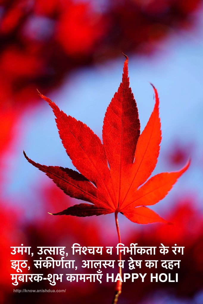 dranishdua's tweet photo. उमंग, उत्साह, निश्चय व निर्भीकता के रंग 
झूठ, संकीर्णता, आलस्य व द्वेष का दहन 
मुबारक-शुभ कामनाएँ HAPPY HOLI #HappyHoli2019 @SriSri @narendramodi @ArtofLiving https://t.co/Iz2hXvMMe4