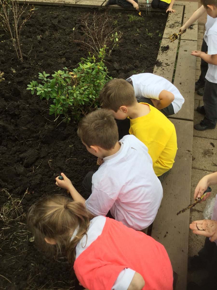 RCS_MrsBray's tweet photo. @RCS_main @PeleTrust Ash Class had a brilliant afternoon sorting our garden with Miss Adams as part of their work in PSHE yesterday afternoon! It is looking fantastic already! https://t.co/DkGOr0lBox