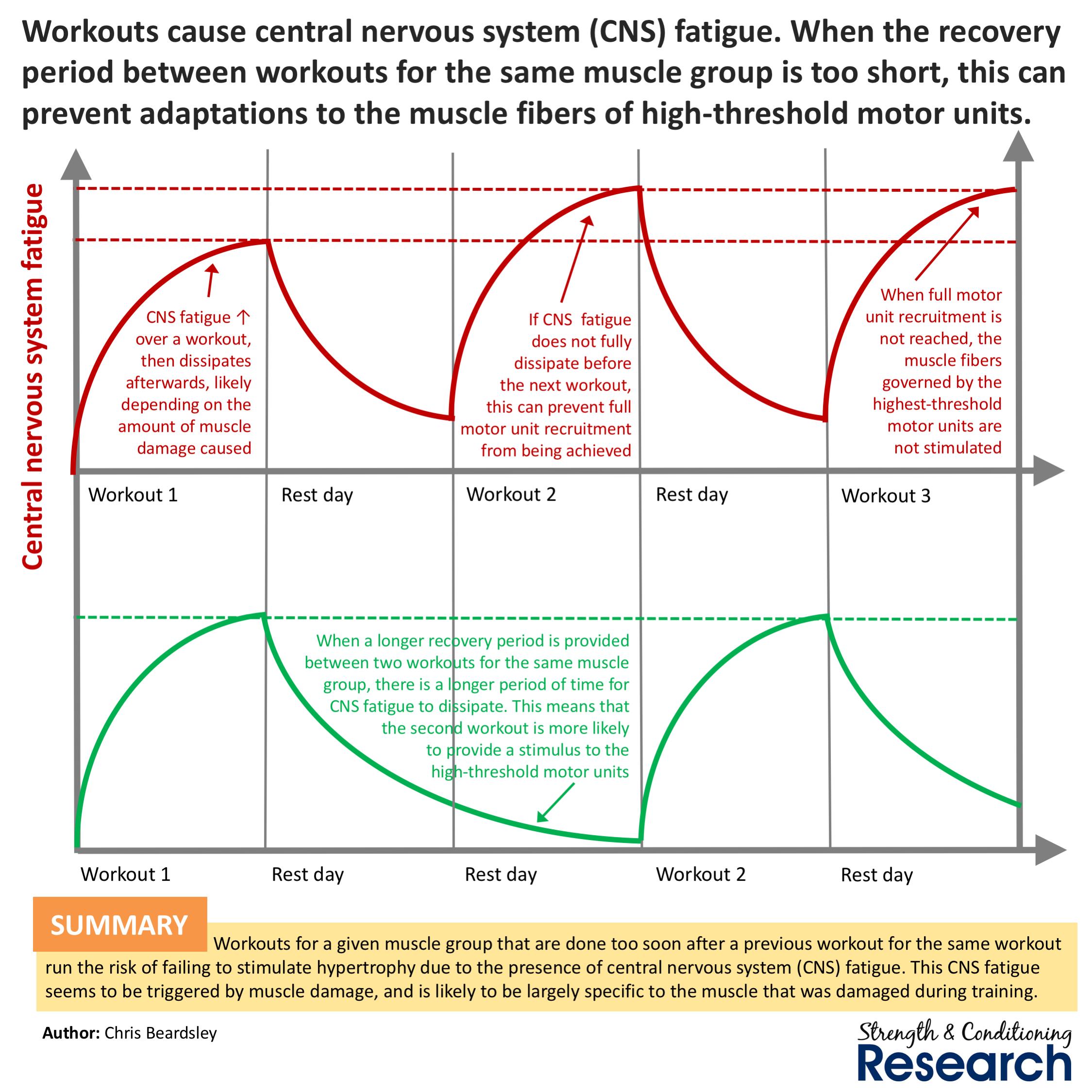 Beardsley on Twitter: too frequently can be counterproductive because of central nervous system (CNS) fatigue resulting from muscle damage caused by the previous workout. https://t.co/VJ2k4nyN0E" /