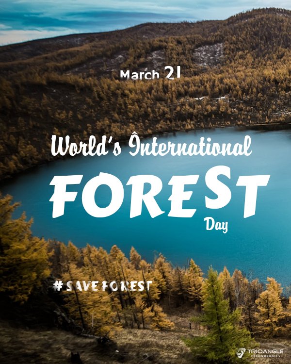 Trioangle's tweet photo. Let's lend our hand to save the forest on this #internationalworldforestday. And aid to protect the roots of existence. #saveforest #march21 #worldforestday #trioangle #goferzone https://t.co/Spy9TQFl0J https://t.co/uMfxZJ8gmw https://t.co/jzN0hcuxyZ https://t.co/nIbgX5uV5H https://t.co/iG2JJXqKpU