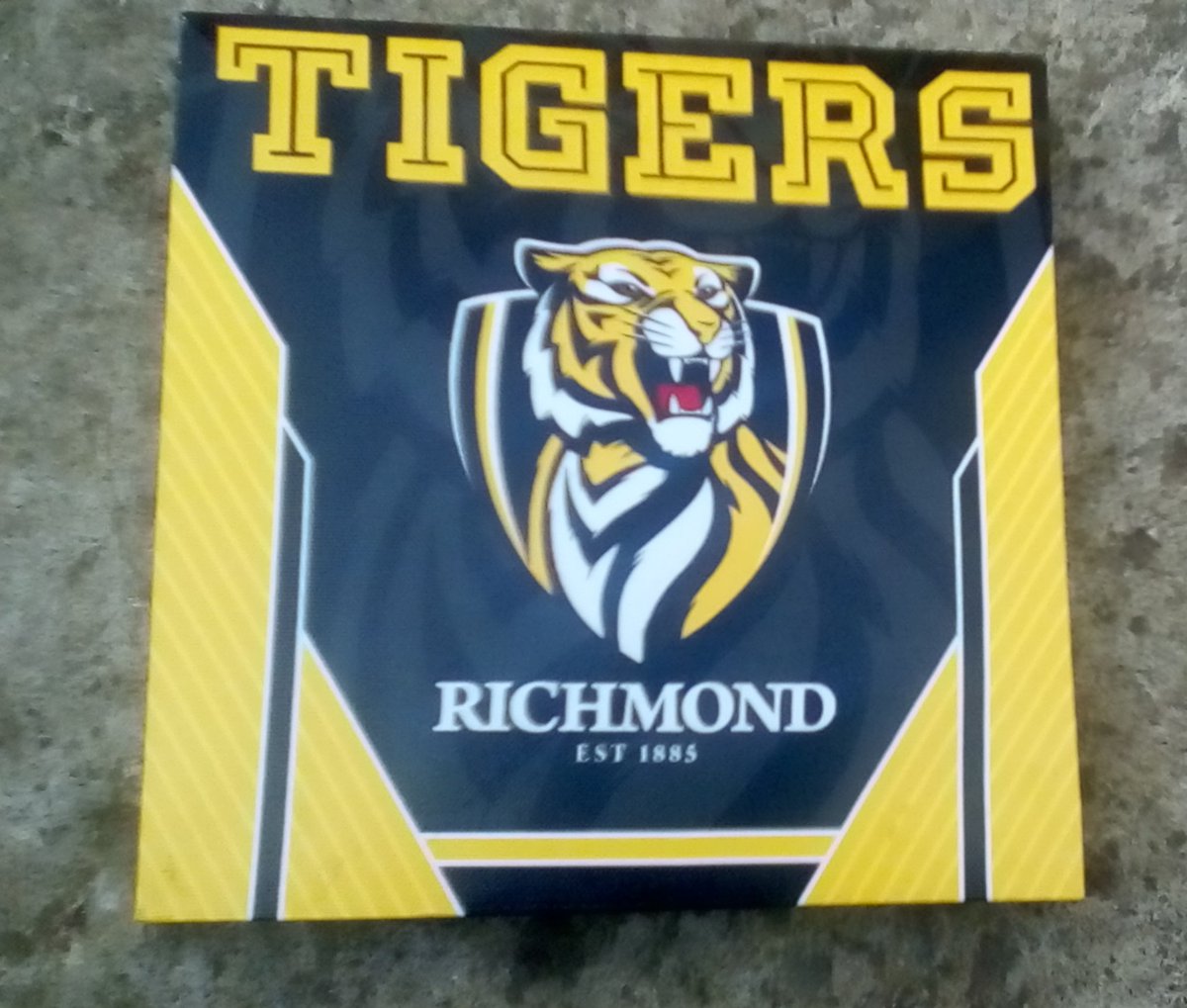 ShelldoHanson's tweet photo. just warming up , practicing the club song for sing along after the game #gotiges #AFLBluesTigers #eatthemalive #RichmondTwitterArmy #roarpower https://t.co/AOILDOWu9S