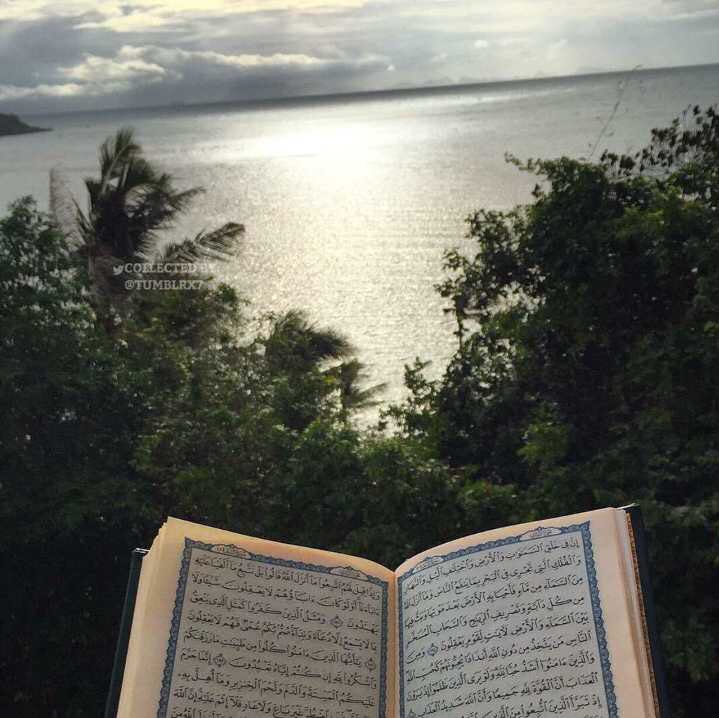 #روعه_الصباح_تكتمل_لما اكتب :✏️ دعاء ، إية ،تسبيح ، إستغفار  صدقه جارية ، ولك أجر كل من يقرأها💚