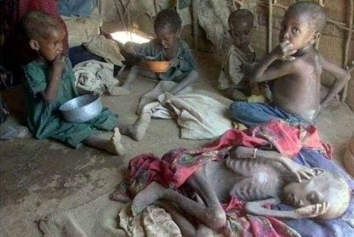 realCGoAL's tweet photo. @maelwak @Jane_nkyalo @SenMutula This is more than just denial... The images showing hungry Kenyans and dead bodies have been branded #FakeNews by the #FakeDP @WilliamsRuto. We have gone far below animal wisdom... Animals grieve over loss of their loved ones, in Kenya it is celebrated! https://t.co/hMUzGfvPZL