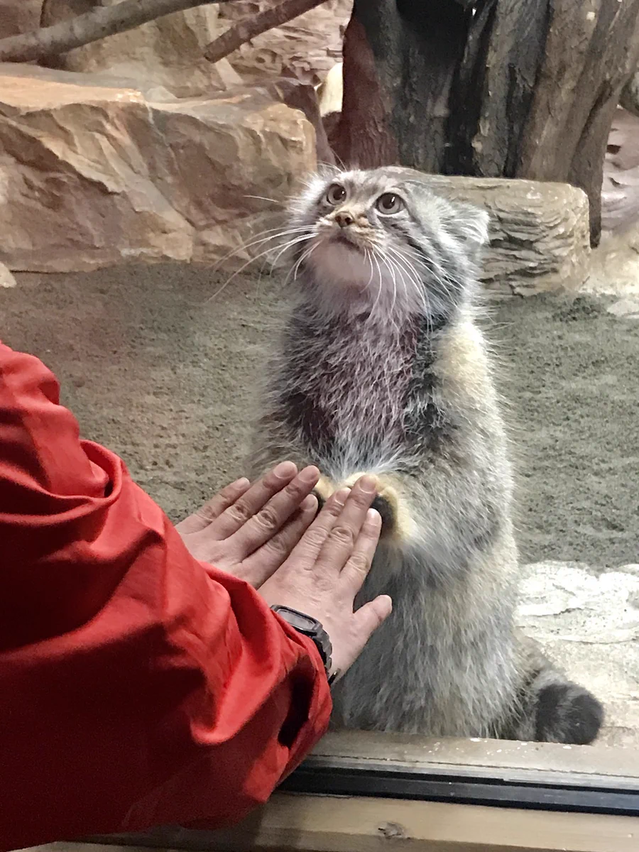 ちゃんと目を見てる！！コミュニケーション能力すごいね！！