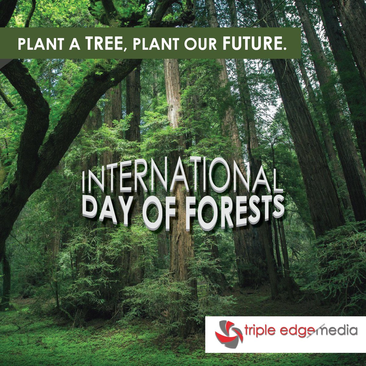 TripleEdgeMedia's tweet photo. Do you know why forests are important for human beings? Forests are important in increasing the amount and quality of drinking water available to people and also are important in providing us with oxygen. #IntlForestDay https://t.co/DVJlHS3D1S