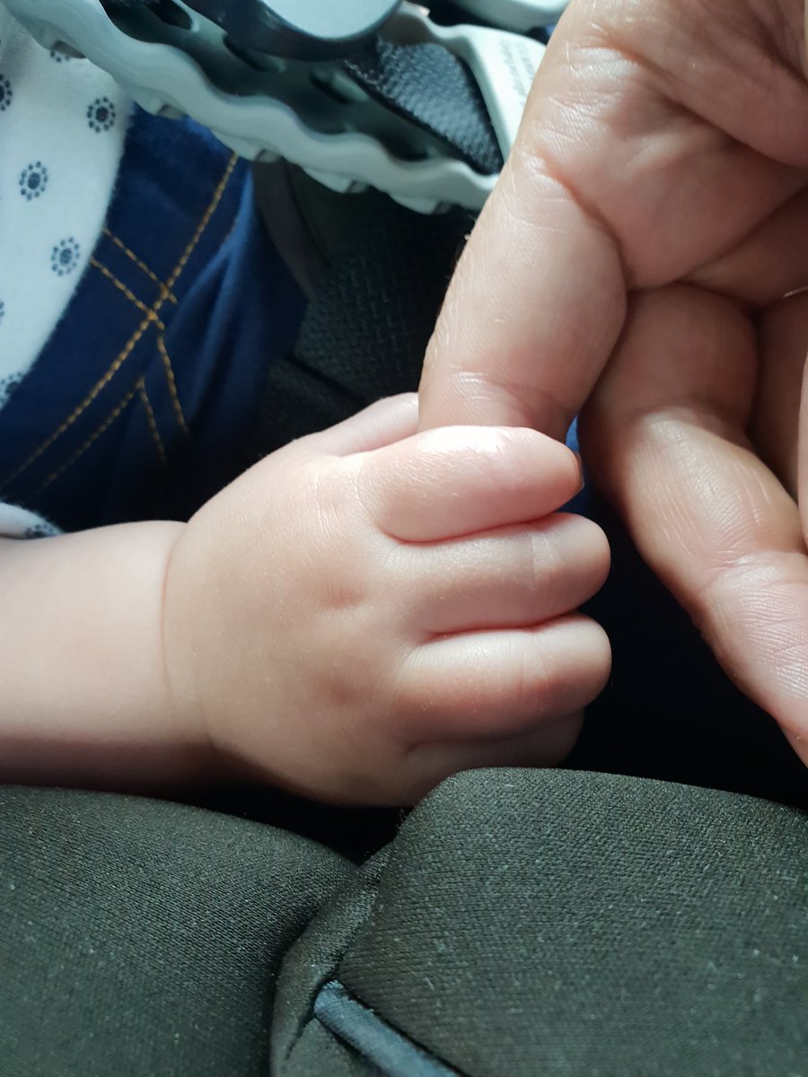 Clarke Gayford tweet media