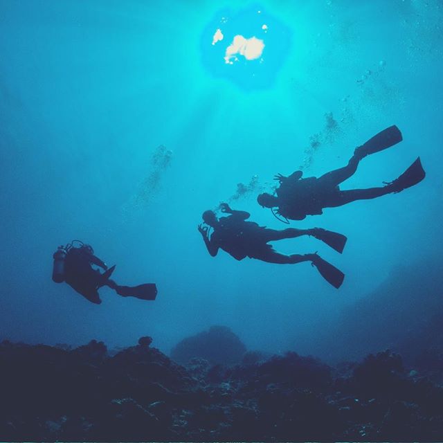 Wicked Diving tweet media