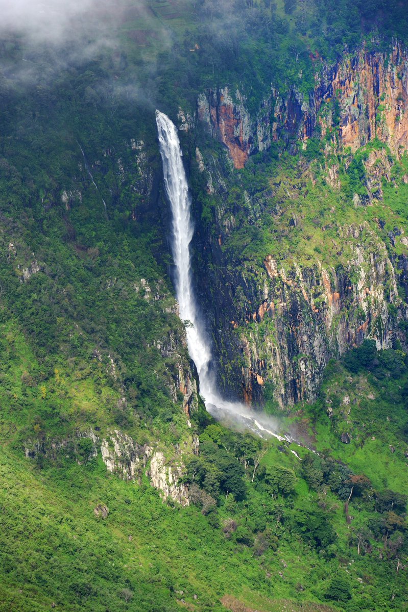 Forests play a key role in conserving water catchments that provide water for domestic, industrial and agricultural use, and to generate hydro electricity #IntlForestDay #InternationalDayOfForests