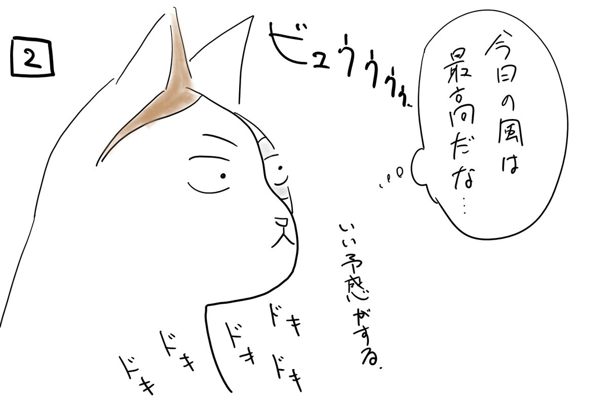 ネコまん 真実は2つ 四コマ漫画 猫マンガ イラスト 風 真実 マンガ日記 コルクラボマンガ専科 勝手に参加中 ネコまん 真実は2つ 四コマ漫画 猫マンガ イラスト 風 真実 マンガ日記 コルクラボマンガ専科 勝手に参加中