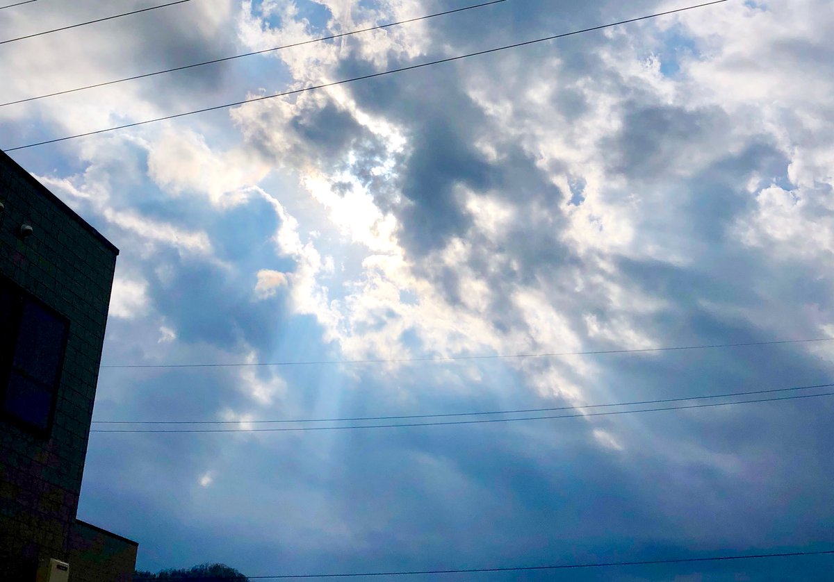 isana157's tweet photo. #お写んぽ
近場お散歩してきたぞーてな写真
あー、お腹すいたwあと、今日は絶対忍たま見るぞ🍙 https://t.co/IklvHJmldN