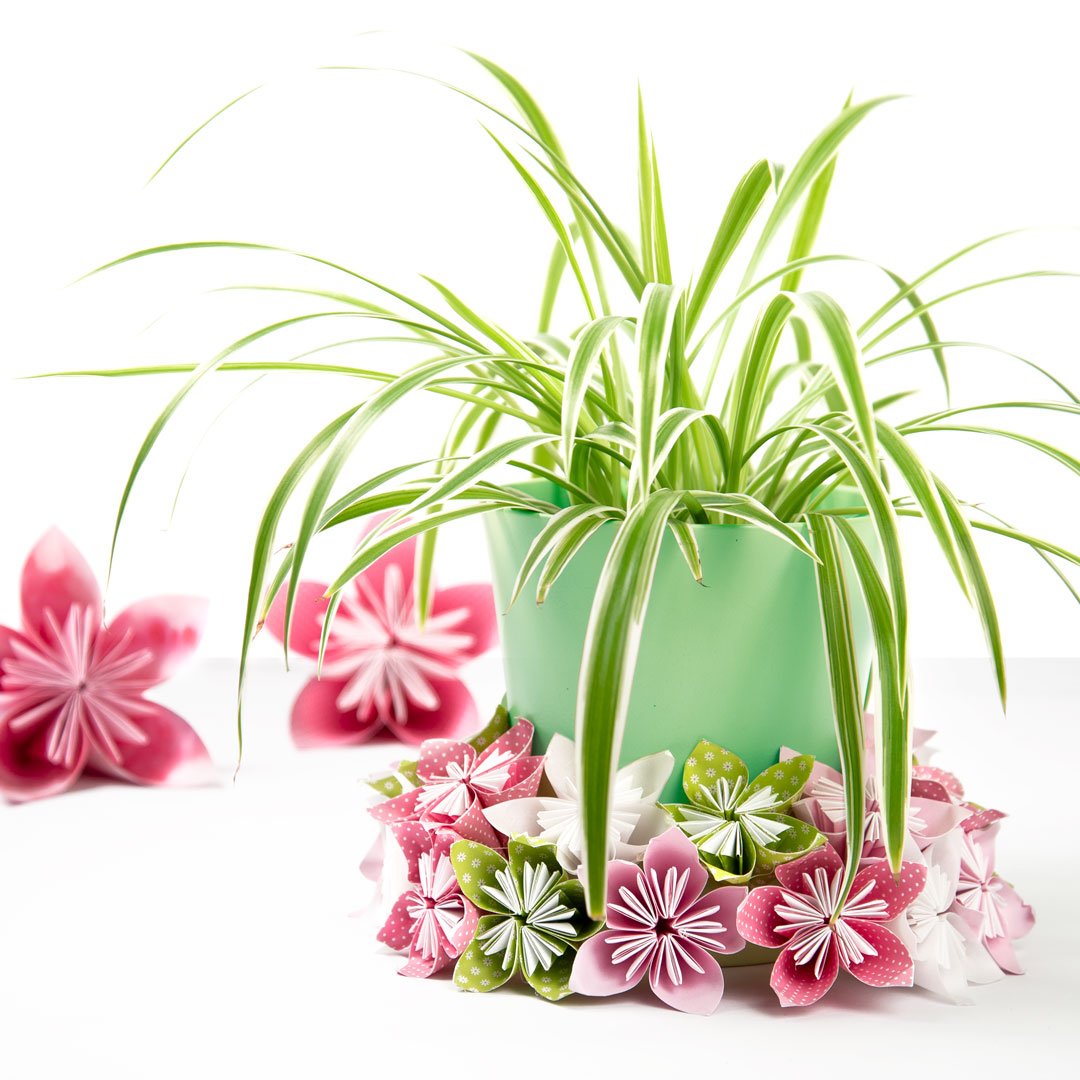 Folia_Bringmann's tweet photo. Schöne Dekoration, vor allem für Ostern, könnt Ihr mit unserem neuen Faltblätter-Set Blüten basteln. Insgesamt habt Ihr 170 Blatt Papier zur Verfügung!

#basteln #falten #origami #papier #folia #kreativ #dekoration #ostern https://t.co/HSTtABWKQv