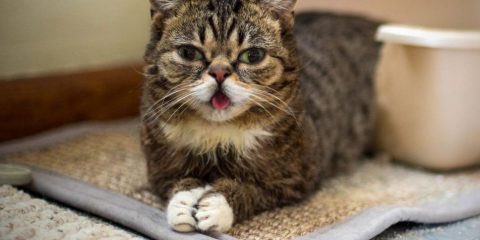 21 Mart #DownSendromuFarkındalık Gününüzü unutmadık 😻