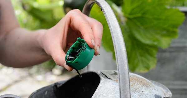 GWmag's tweet photo. Container-grown plants have less soil, water and nutrients than those growing in the ground, so they need watering and feeding more often. Here's how to keep them healthy: https://t.co/CGCohhsvgZ https://t.co/qFb4LK1fxR