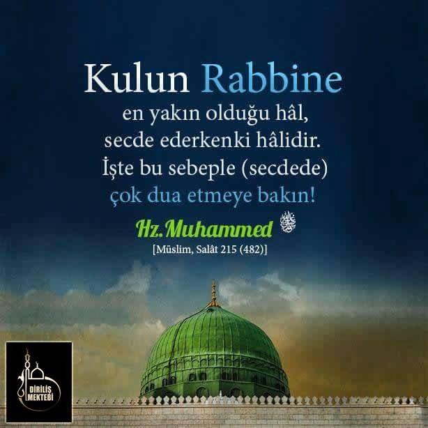 Kulun Rabbine en yakın olduğu hal, secde ederkenki halidir. İşte bu sebeple (secdede) çok dua etmeye bakın! Hz Muhammed  #FransayıÜzelim