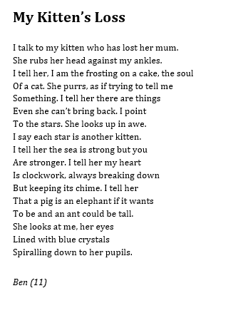 KateClanchy1's tweet photo. I've just listened to the news and I thought we might need a kitten poem up here. Ben was 11. https://t.co/JGA6XLqSYr