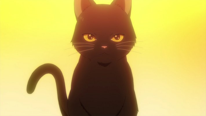 RimuPie's tweet photo. الحلقة الحادية عشرة من #Fukigen_na_Mononokean_Tsuzuki
https://t.co/VZZ5wDdY12 https://t.co/G5FWtPYESJ