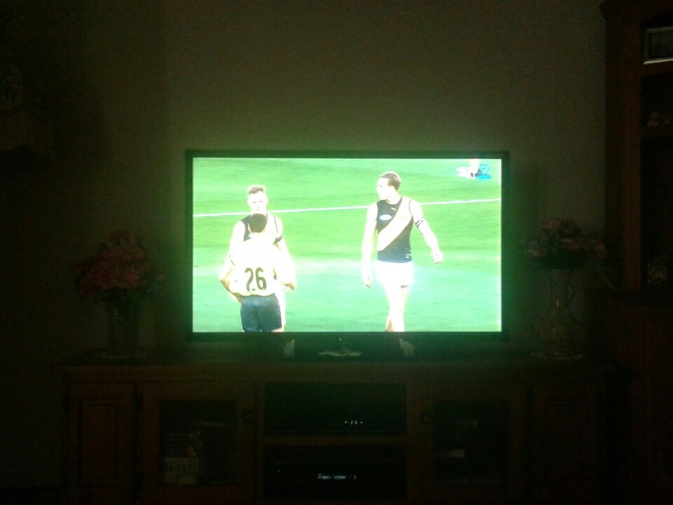 DavidIngram90's tweet image. It's BAAACK!! 😃 😃 #AFLBluesTigers #GreatestGameOnEarth