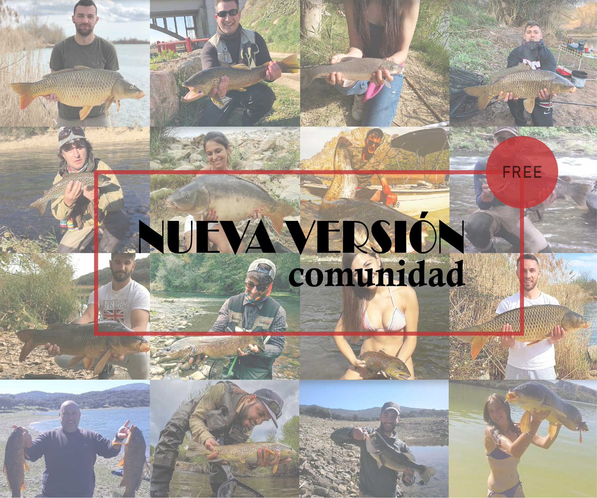 clicandfish's tweet photo. 🐟🎣 ¿Queréis novedades de jueves? ¡Aquí están! 🐟🎣

Ahora podrás publicar y compartir tus capturas, así como visualizar las que suben otros miembros de la comunidad.

¿A qué esperas para luchar por el ranking del mes de Marzo?

¡Nos vemos en los ríos! https://t.co/UibXwCyAbc