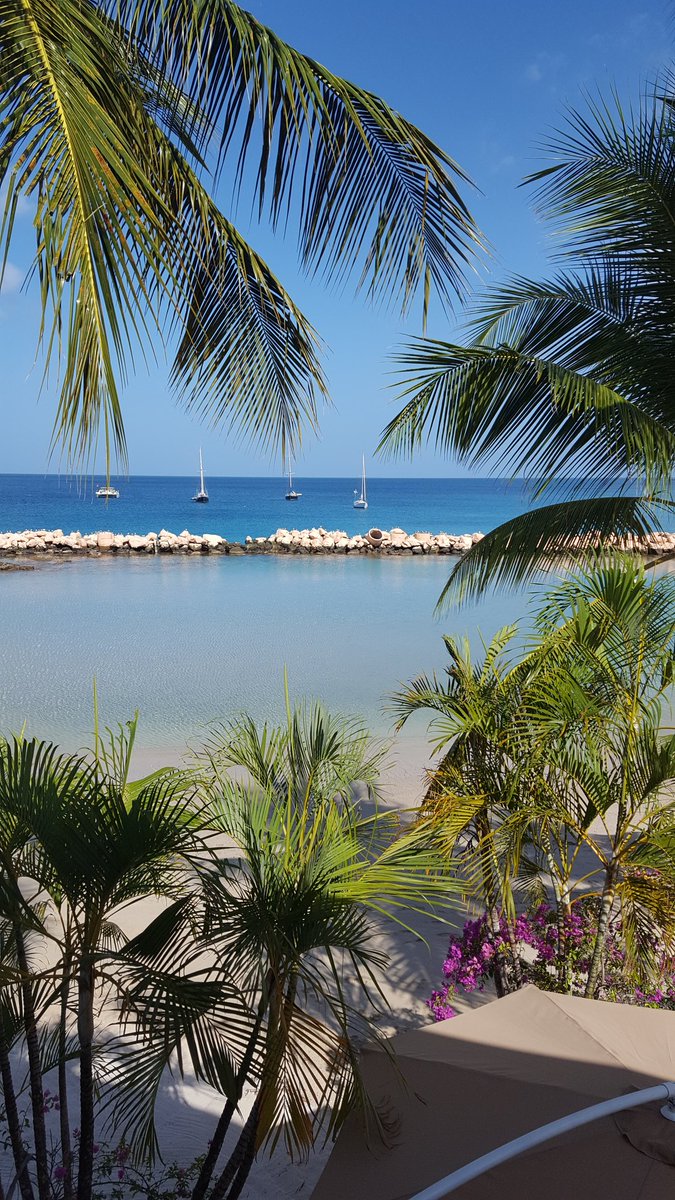 YellyPorsche's tweet photo. What an awful place to be forced to have breakfast 🍍 @CocoReefTobago @LagoonHove @dannythechef @robert_nemeth @roseabi #CocoReef #Tobago #Breakfastwithaview #Caribbean https://t.co/Ams5enQhhm